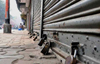 Karnataka bandh today, state not likely to be hit